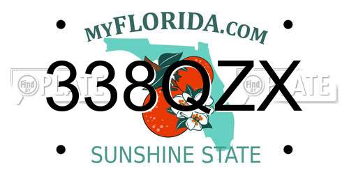 338QZX Florida License Plate