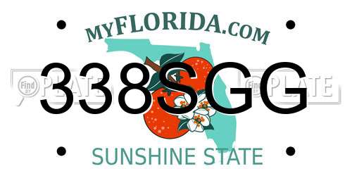338SGG Florida License Plate