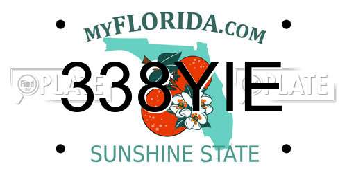 338YIE Florida License Plate