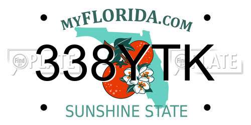 338YTK Florida License Plate