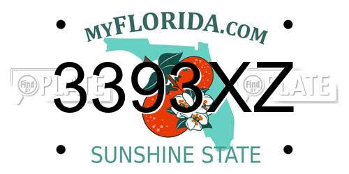 3393XZ Florida License Plate