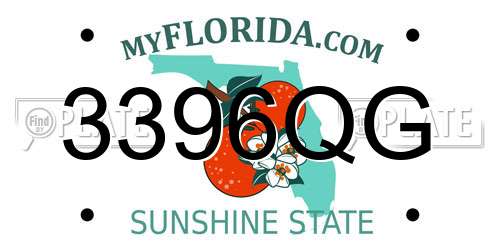 3396QG Florida License Plate