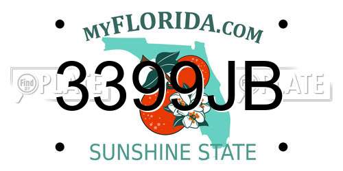 3399JB Florida License Plate