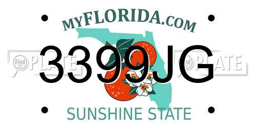 3399JG Florida License Plate