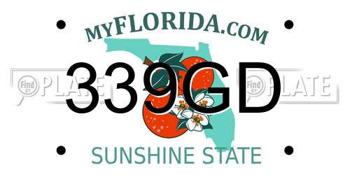 339GD Florida License Plate
