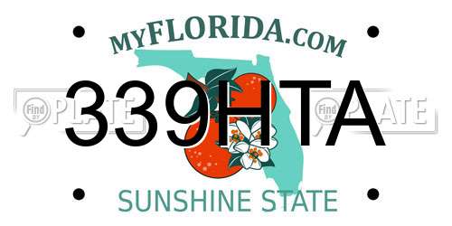 339HTA Florida License Plate