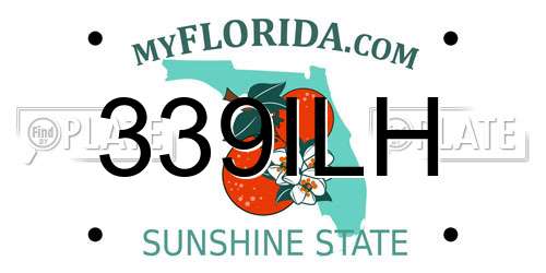 339ILH Florida License Plate