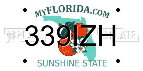 339IZH Florida License Plate