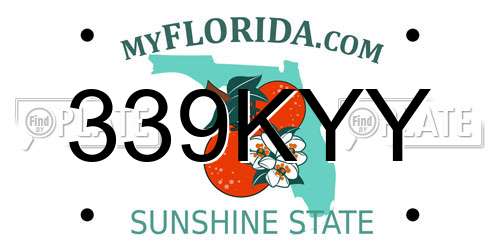 339KYY Florida License Plate
