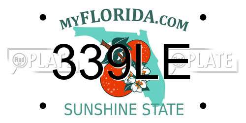 339LE Florida License Plate