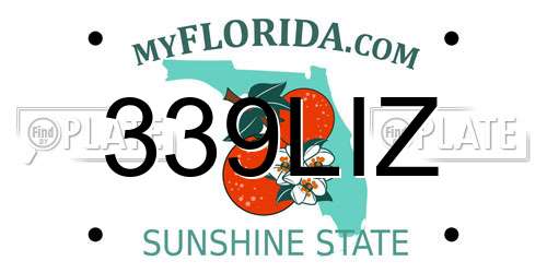 339LIZ Florida License Plate