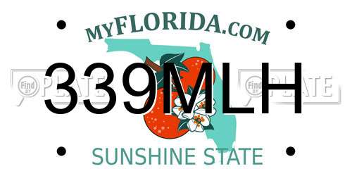 339MLH Florida License Plate