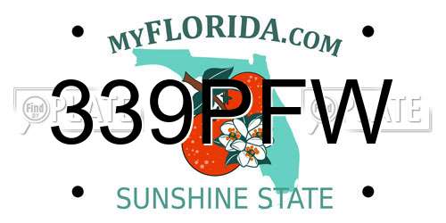 339PFW Florida License Plate