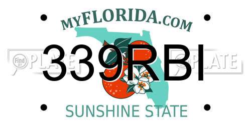 339RBI Florida License Plate