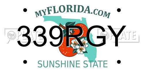 339RGY Florida License Plate