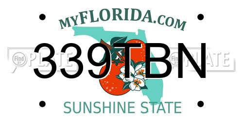 339TBN Florida License Plate