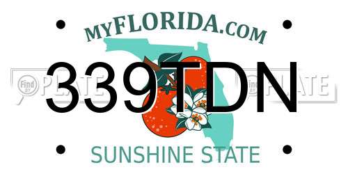 339TDN Florida License Plate