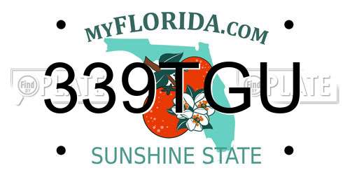 339TGU Florida License Plate