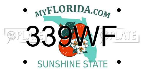 339WF Florida License Plate