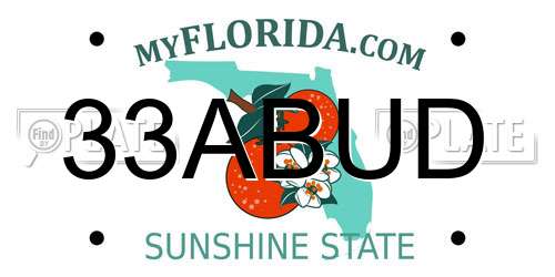 33ABUD Florida License Plate