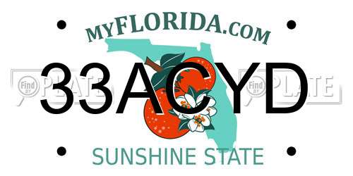33ACYD Florida License Plate