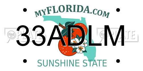 33ADLM Florida License Plate