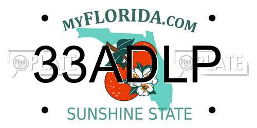 33ADLP Florida License Plate