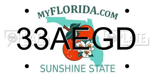 33AEGD Florida License Plate