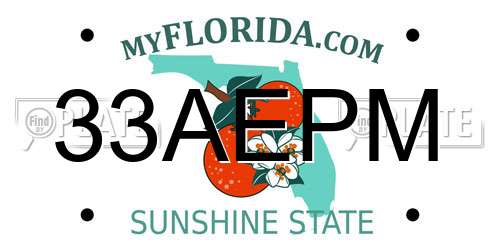 33AEPM Florida License Plate