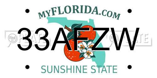 33AFZW Florida License Plate