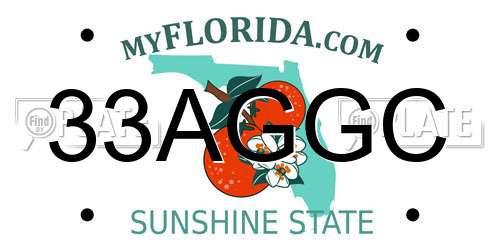 33AGGC Florida License Plate