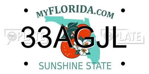 33AGJL Florida License Plate