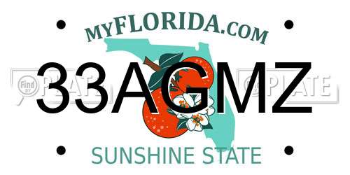 33AGMZ Florida License Plate