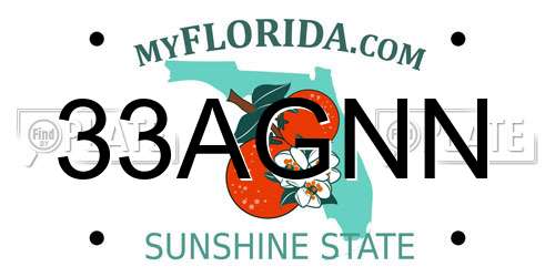 33AGNN Florida License Plate