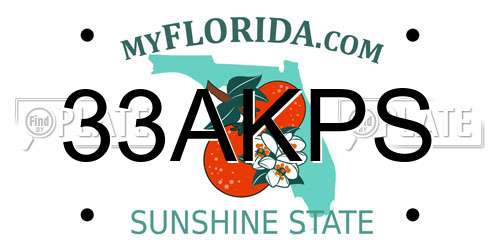 33AKPS Florida License Plate