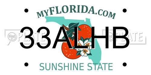 33ALHB Florida License Plate