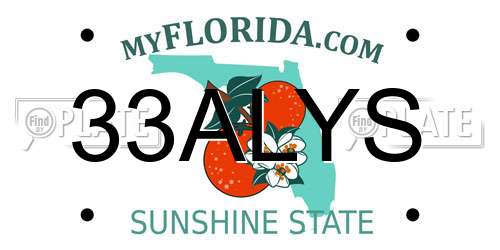 33ALYS Florida License Plate