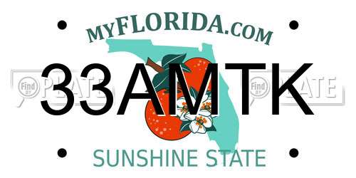 33AMTK Florida License Plate