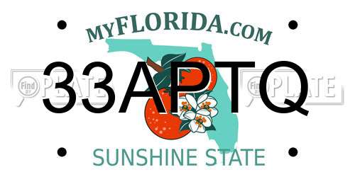 33APTQ Florida License Plate