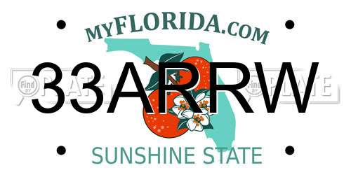 33ARRW Florida License Plate