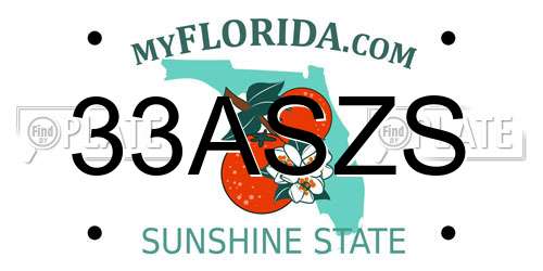 33ASZS Florida License Plate