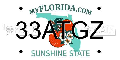 33ATGZ Florida License Plate