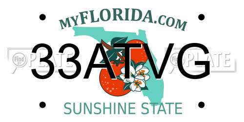 33ATVG Florida License Plate