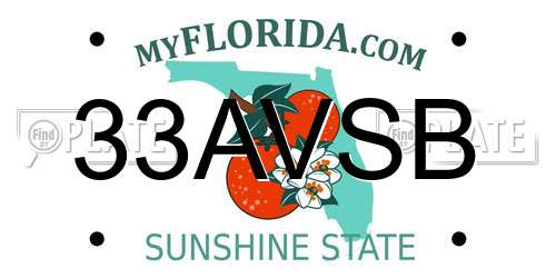 33AVSB Florida License Plate