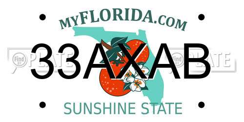 33AXAB Florida License Plate
