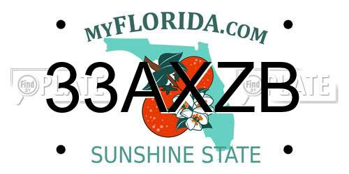 33AXZB Florida License Plate