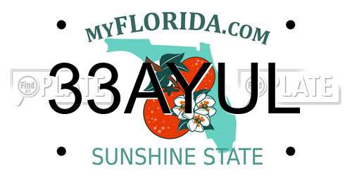 33AYUL Florida License Plate