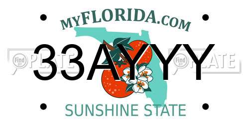 33AYYY Florida License Plate