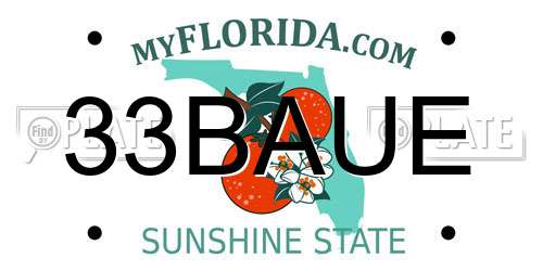 33BAUE Florida License Plate