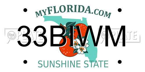 33BIWM Florida License Plate